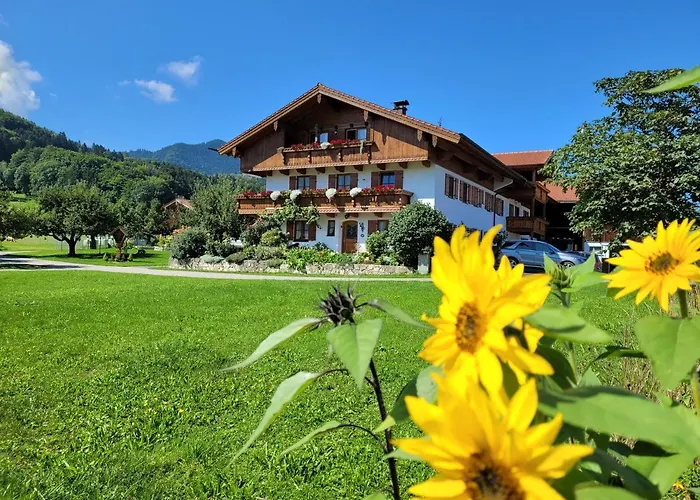 Hoderhof