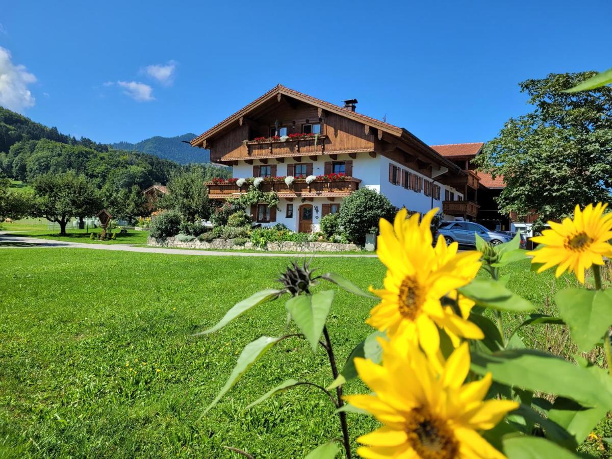 Hoderhof